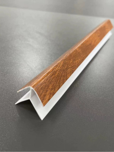 Exmodel01
