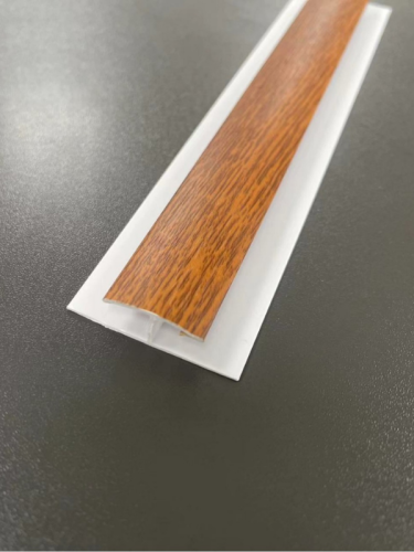 H-model